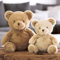 Teddy Benjamin braun