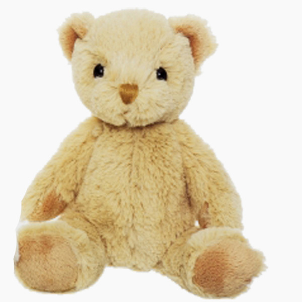 Teddy Evert Braun