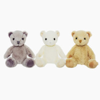 Teddy Evert Grau
