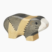 Meerschweinchen