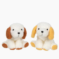 Hund  Cardino Beige