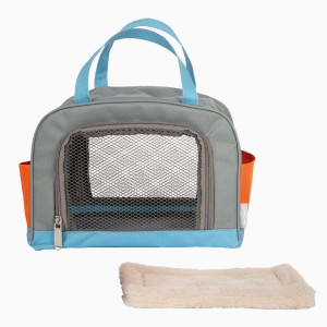 Katze mit Tasche und Pflege-Set