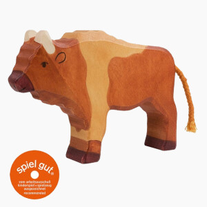 Bison