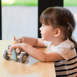 PlanToys H&uuml;hner-Rennwagen