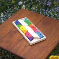 Legespiel und Bausteinkasten 6 bunte Fische